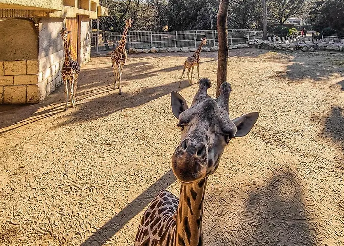 Lovely In Appartement La Rochelle (Charente-Maritime)
